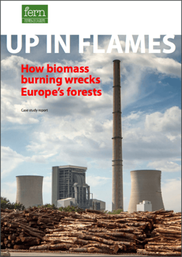 Up In Flames: How biomass burning wrecks Europe’s forests