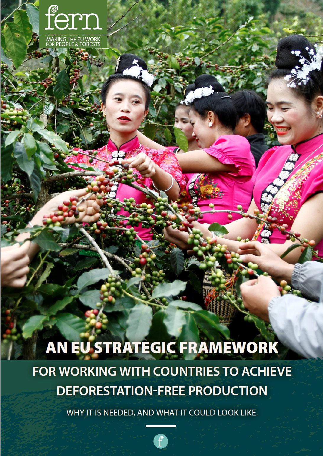 An EU strategic framework for working with countries to achieve deforestation-free production