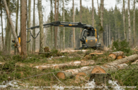 Bioenergy: the Achilles Heel of the EU 2050 decarbonisation vision