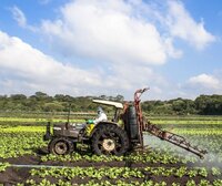 Brazil’s “Poison Package” laws set to facilitate greater pesticide use