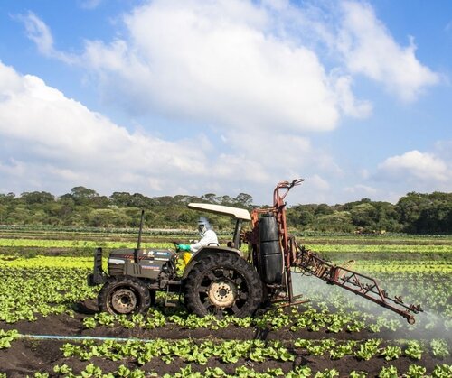 Brazil’s “Poison Package” laws set to facilitate greater pesticide use
