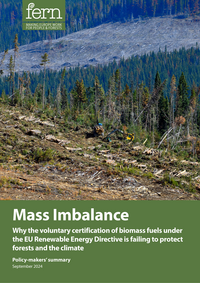 Mass Imbalance