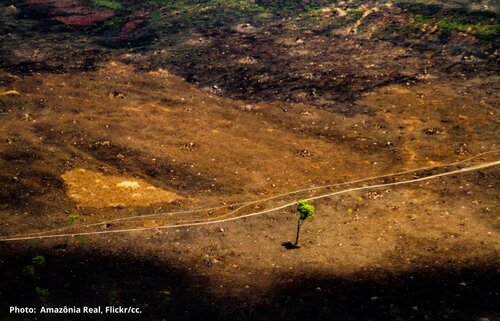 EU failed to consider environmental and social impacts of South American trade deal: complaint