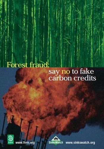Forest fraud: say no to fake carbon credits