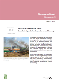 Snake oil or climate cure - The effect of public funding on European bioenergy