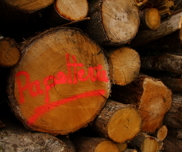 EU: Undoing climate policy and pulping forests