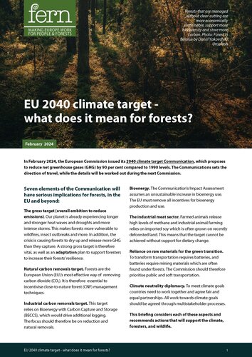 EU 2040 climate target - what does it mean for forests?