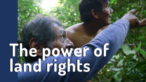 The power of land rights: why Peru's forest communities have lessons for us all