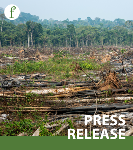 Two years after championing the EU Deforestation Law, EU Conservative Lawmakers are now wanting to sabotage it
