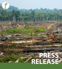 Two years after championing the EU Deforestation Law, EU Conservative Lawmakers are now wanting to sabotage it