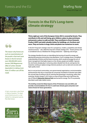 Forests in the EU’s Long-term climate strategy