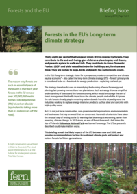 Forests in the EU’s Long-term climate strategy