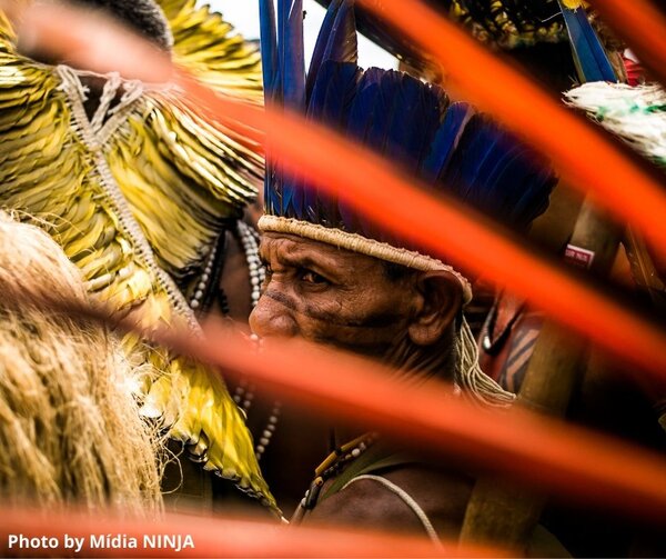 Indigenous organisations tell European policy makers to respect their land rights, or new anti-deforestation legislation is likely to fail