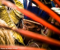 Indigenous organisations tell European policy makers to respect their land rights, or new anti-deforestation legislation is likely to fail