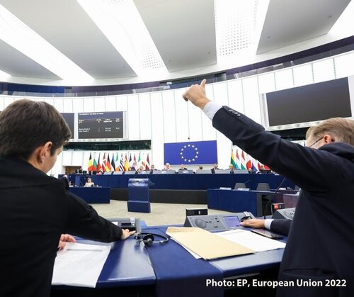 European Parliament’s vote on the Renewable Energy Directive disappoints campaigners
