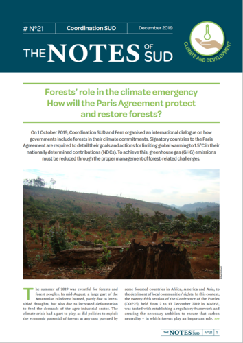 Forests play a key role in tackling climate change