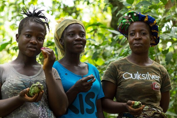 Dual climate and biodiversity crises threaten people and the planet, but we have the tools to solve them!