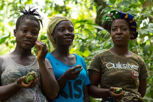 Dual climate and biodiversity crises threaten people and the planet, but we have the tools to solve them!