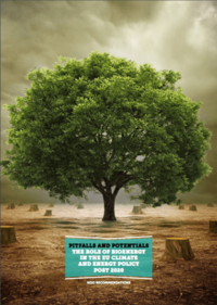 Pitfalls and potentials: the role of bioenergy in the EU climate and energy policy post 2020