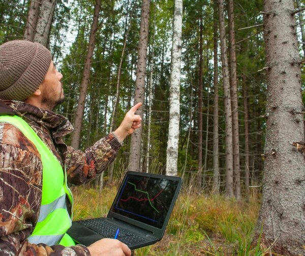 Effective restoration of the EU’s declining forests requires comprehensive monitoring