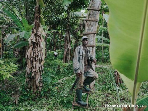 As the EU moves towards due diligence in supply chains, can we ensure communities are heard?