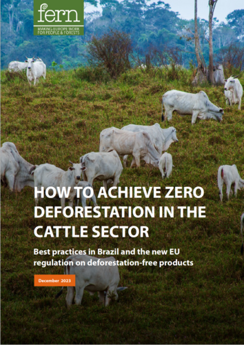 How to achieve zero deforestation in the cattle sector
