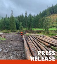 EU Member State positions could have a profoundly negative impact on forests