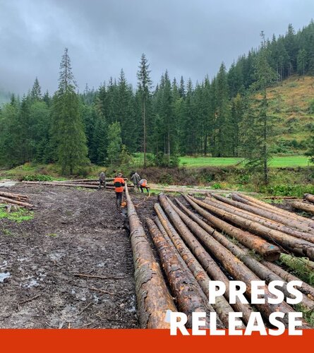 EU Member State positions could have a profoundly negative impact on forests