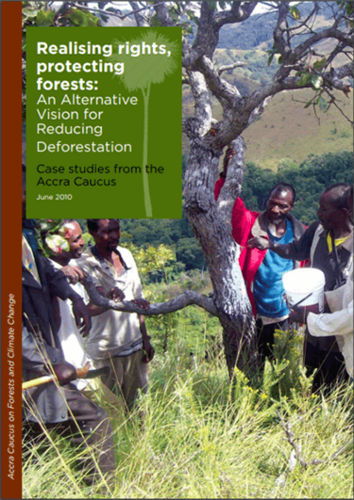 Realising rights, protecting forests: An Alternative Vision for Reducing Deforestation