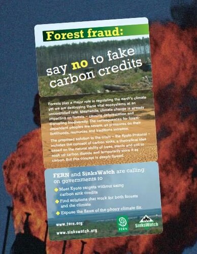 Ten reasons to say no to carbon sinks credits
