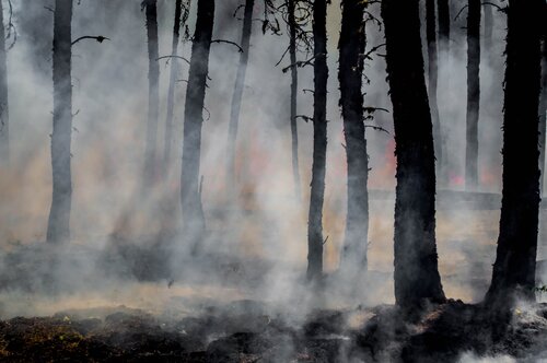 The fire next time: addressing future European blazes