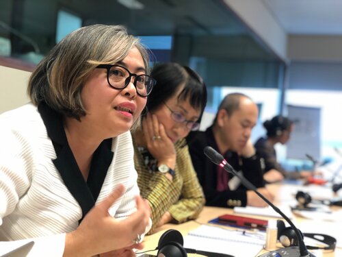 Civil society from emerging nations share their views on forests in danger and EU policies
