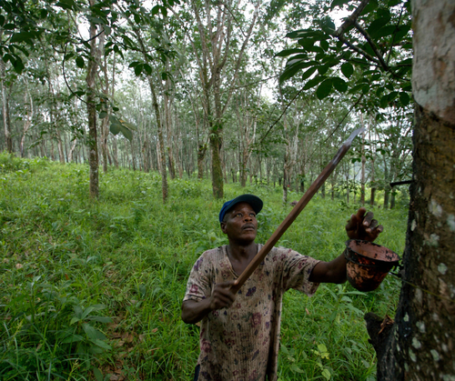 As the EU terminates the EU-Liberia Voluntary Partnership Agreement, civil society require more space in forest partnerships