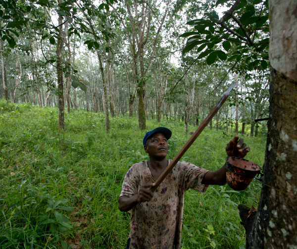 As the EU terminates the EU-Liberia Voluntary Partnership Agreement, civil society require more space in forest partnerships