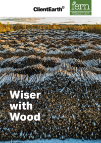 Wiser with wood