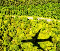 EU’s Carbon Removal Certification Framework endorsement of offsetting and bioenergy dooms it to failure
