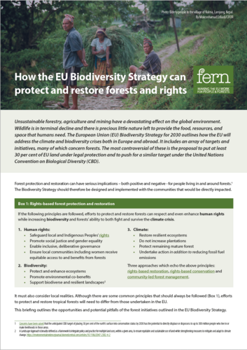 How the EU Biodiversity Strategy can protect and restore forests and rights