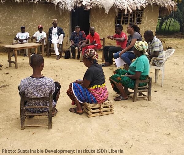 Liberia’s FLEGT process: EU to take away the “one glimmer of hope”?