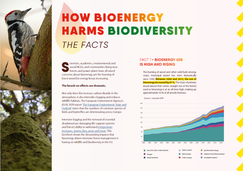 How bioenergy harms biodiversity: the facts