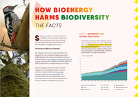 How bioenergy harms biodiversity: the facts