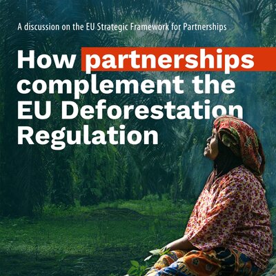How partnerships complement the EU Deforestation Regulation