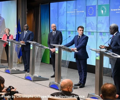 Sixth EU-African Union Summit: A political fig leaf for continued inaction on biodiversity and climate?