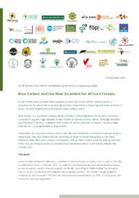 Statement: Blue Carbon and the new Scramble for Africa's forests