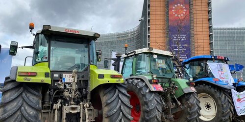 Forest Watch 292 - February 2024