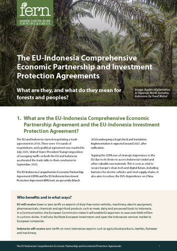 The EU-Indonesia Comprehensive Economic Partnership and Investment Protection Agreements