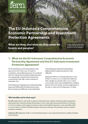 The EU-Indonesia Comprehensive Economic Partnership and Investment Protection Agreements