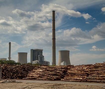 REDII: EU fails to position itself as defender of forests, climate and the public interest