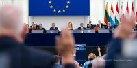 Forest Watch 276 - June 2022