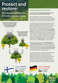 Fern Forests briefing paper 8pp WEB 23 July.pdf