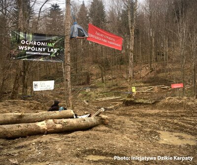 Poland: EU Court of Justice ruling is a twofold victory for environmental organisations and forest defenders